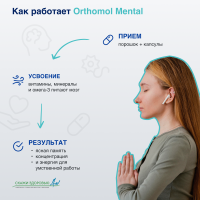 БАД ОРТОМОЛ/ORTHOMOL® Mental для внимания и памяти (порошок+капсулы) № 30